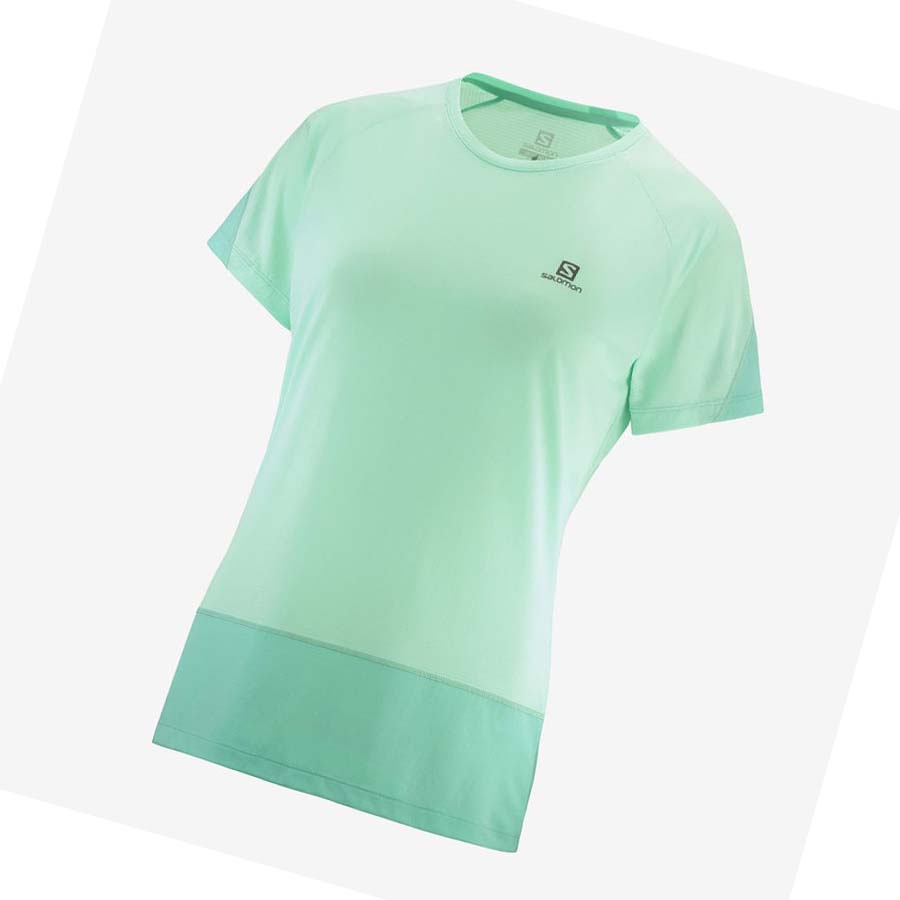 Camiseta Salomon CROSS RUN Mujer Verdes | MX 2541KOR